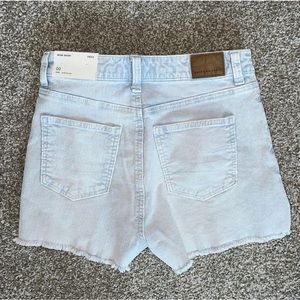 American Eagle Ribbed Light Wash Jean Short